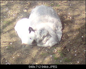 Foootoooooooos-dsc01109.jpg