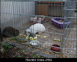 Tr�ume werden wahr =)-sdc11176.jpg