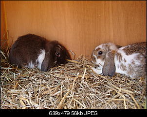 Juhuu, Sunny & Klopfer sind da!-dsc05894.jpg