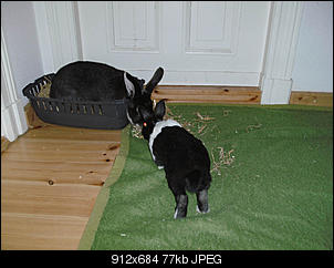 Luise und Knopfi - gro� und klein-bild2084.jpg