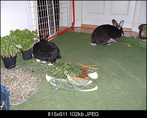 Luise und Knopfi - gro� und klein-bild2085.jpg