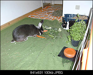 Luise und Knopfi - gro� und klein-bild2087.jpg