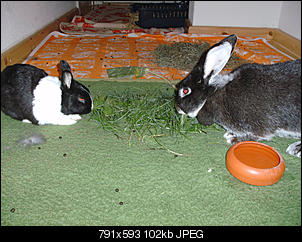 Luise und Knopfi - gro� und klein-bild2113.jpg