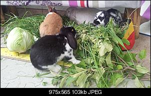 Das sind wir :)-20120710_150526.jpg