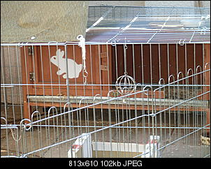 Tr�ume werden wahr =)-sdc11834.jpg