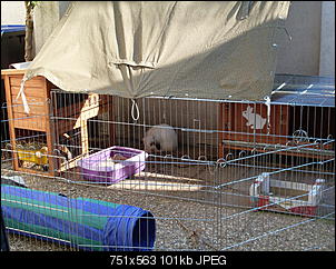 Tr�ume werden wahr =)-sdc11835.jpg
