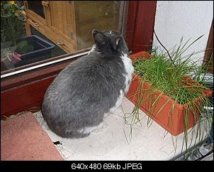 Die Findorffer Gartenzwerge stellen sich vor-k-dscf2238.jpg