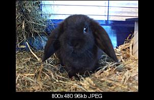 Hall�chen, ich bin der Jack-dscf2584%5B1%5D.jpg