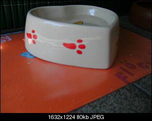 Bunny's Fotoalbum-bild0534.jpg
