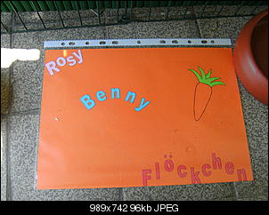 Bunny's Fotoalbum-bild0535.jpg