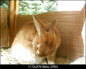 Rabny�s Bildithek ;-D-006.jpg