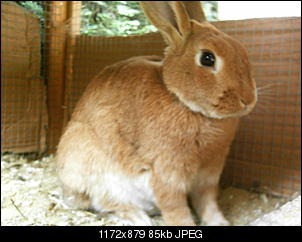 Rabny�s Bildithek ;-D-007.jpg