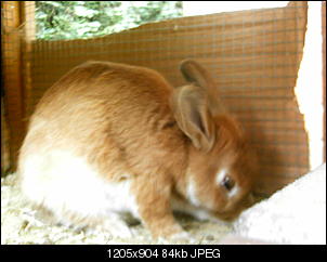 Rabny�s Bildithek ;-D-008.jpg