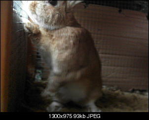 Rabny�s Bildithek ;-D-015.jpg