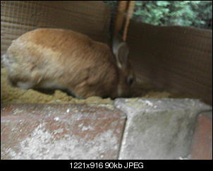 Rabny�s Bildithek ;-D-016.jpg