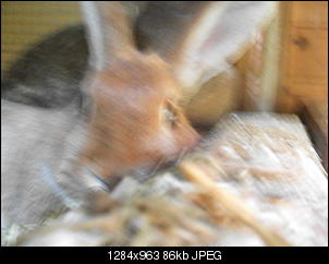 Rabny�s Bildithek ;-D-018.jpg
