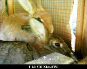 Rabny�s Bildithek ;-D-024.jpg