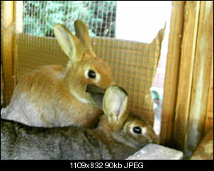 Rabny�s Bildithek ;-D-025.jpg