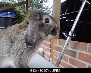 Rabny�s Bildithek ;-D-p160812_15.58_%5B01%5D.jpg