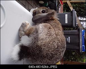 Rabny�s Bildithek ;-D-p160812_15.59.jpg