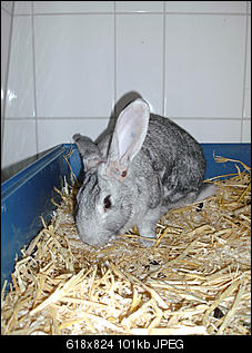 Luise und Knopfi - gro� und klein-bild2279.jpg