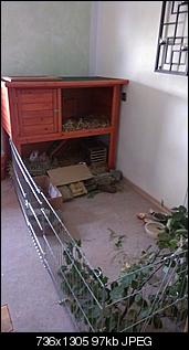Neuank�mmlinge :) & Fragen-imag0119.jpg