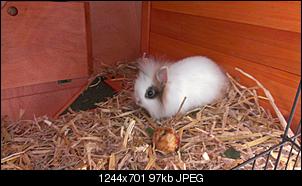 Neuank�mmlinge :) & Fragen-imag0123.jpg