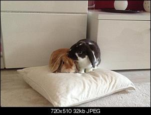Samy, Luc und Elisa-hasis-3-1-.jpg