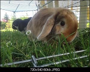 Samy, Luc und Elisa-hasis-2-2-.jpg