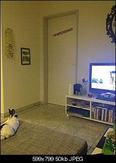 TV Kaninchen-image.jpg