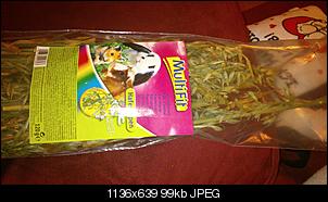 M�nnlich, ledig, jung sucht ....-dsc_0075%5B1%5D.jpg