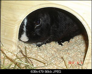 meine zwei-dsc01080.jpg