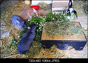 Vier M�dls - Vier Jahreszeiten-dsc08039.jpg
