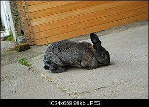 Vier M�dls - Vier Jahreszeiten-dsc08073.jpg