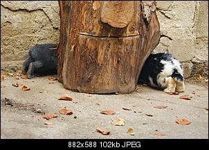 Vier M�dls - Vier Jahreszeiten-dsc08071.jpg