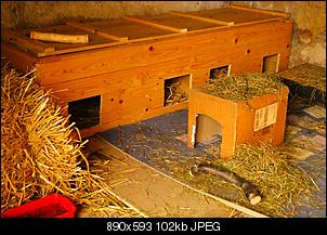 Vier M�dls - Vier Jahreszeiten-dsc08077.jpg