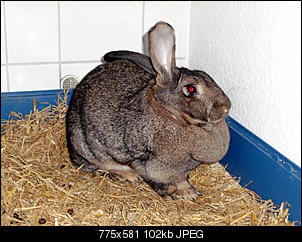 Luise und Knopfi - gro� und klein-bild2318.jpg