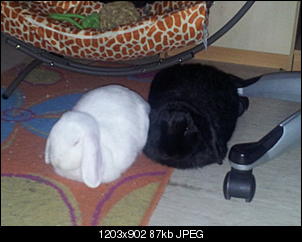 Hall�chen, ich bin der Jack-20121107_134924.jpg