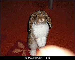 Bibbi, Bodo und ich sagen "HALLO"-bibbi-037.jpg