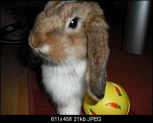 Bibbi, Bodo und ich sagen "HALLO"-bibbi-033.jpg