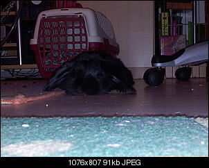 Hall�chen, ich bin der Jack-20121120_200934.jpg