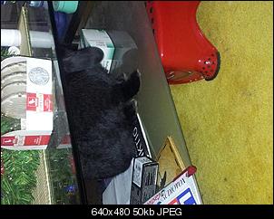 Hall�chen, ich bin der Jack-201212121908285tkafb2ocs.jpg