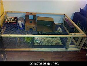 lieber sp�t als nie :-)-20121212_090012-3-.jpg