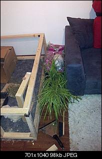 lieber sp�t als nie :-)-20121212_090223-2-.jpg