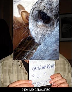 M�nnlich, ledig, jung sucht ....-gen%E4mischt.jpg