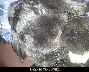 Hall�chen, ich bin der Jack-20121216124117e7ilonwdu1.jpg