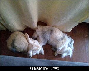 lieber sp�t als nie :-)-755-2-.jpg