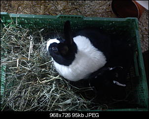 Klopf,Boing,Hmmm, mampf... hallo^^-dsc00034.jpg