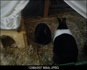 Klopf,Boing,Hmmm, mampf... hallo^^-dsc00035.jpg