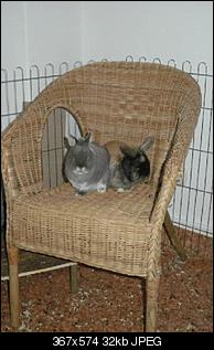 Lilia & Cooper...und ich ;-)-fre.jpg